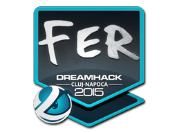 Naklejka | fer | Kluż-Napoka 2015