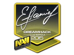 Naklejka | flamie | Kluż-Napoka 2015