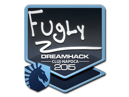 Naklejka | FugLy | Kluż-Napoka 2015