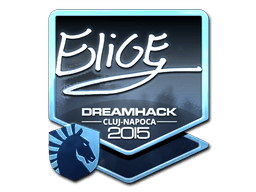 Naklejka | EliGE (foliowana) | Kluż-Napoka 2015