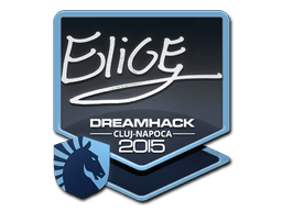Naklejka | EliGE | Kluż-Napoka 2015