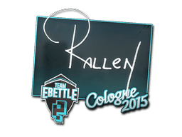 Naklejka | rallen | Kolonia 2015