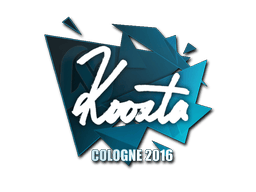 Naklejka | koosta | Kolonia 2016