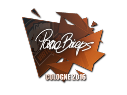 Naklejka | pashaBiceps | Kolonia 2016