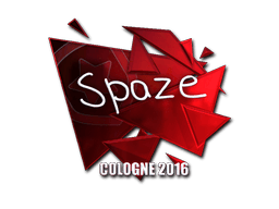 Naklejka | spaze (foliowana) | Kolonia 2016