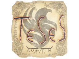 Naklejka | TeSeS | Austin 2025