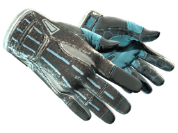Sport Gloves