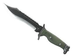 Bowie Knife