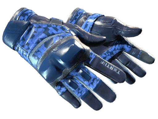 ★ Moto Gloves | Polygon