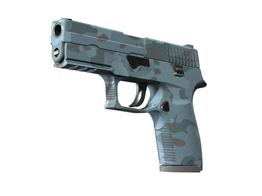 P250 | Nocny las
