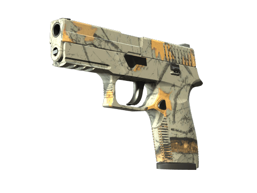 P250 | Współczesny łowca