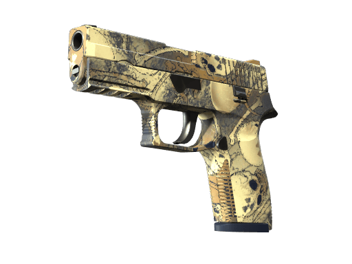 P250 | Contamination