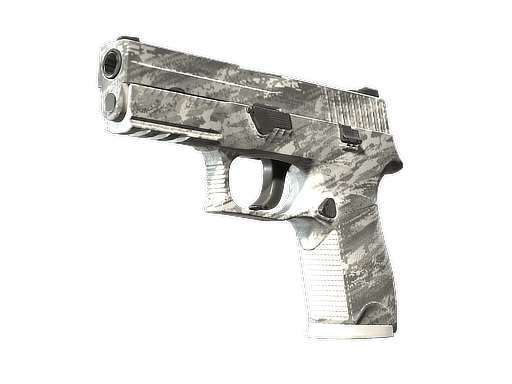 P250 | Sleet