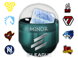 Mistrzowie regionalni ELEAGUE Boston 2018 oraz Flash Gaming (hologramowa/foliowana)