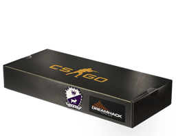 Zestaw pamiątkowy z DreamHack 2014 – Cobblestone