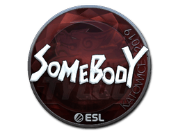 Naklejka | somebody (foliowana) | Katowice 2019