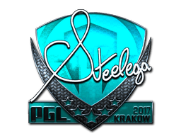 Sticker | steel (Foil) | Krakow 2017