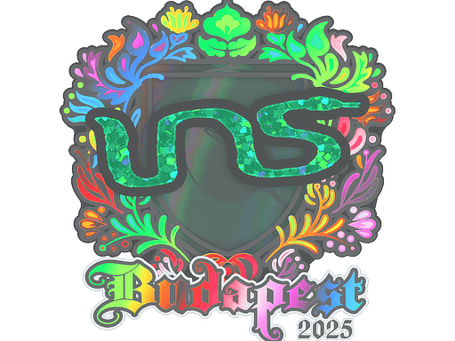 Sticker | INS (Holo) | Budapest 2025