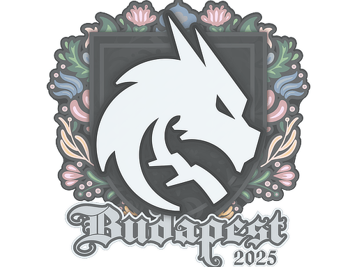 Sticker | Team Spirit | Budapest 2025