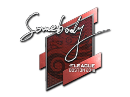 Sticker | somebody | Boston 2018