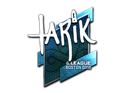 Naklejka | tarik (foliowana) | Boston 2018