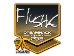Sticker | flusha | Cluj-Napoca 2015