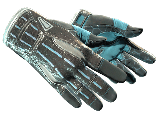 Sport Gloves
