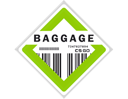 Kolekcja Baggage