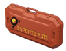 Walizka e-sportowa 2013