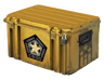 Gamma 2 Case